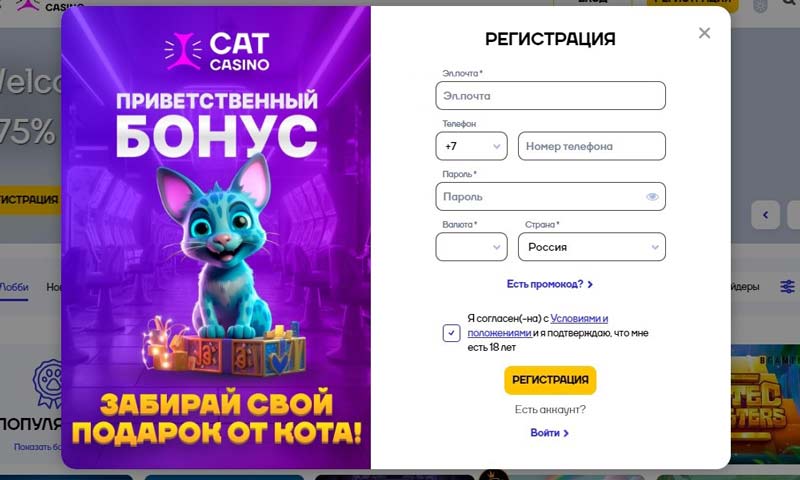 Регистрация в казино Кэт